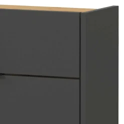 22 cm tiefer Schuhschrank in Dunkelgrau - Sidgarus