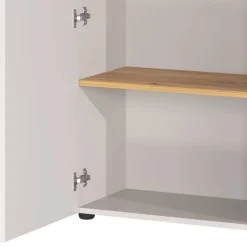 Aktenschrank in Hellgrau und Wildeiche Optik - Chiron