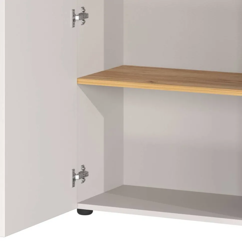 Aktenschrank in Hellgrau und Wildeiche Optik - Chiron