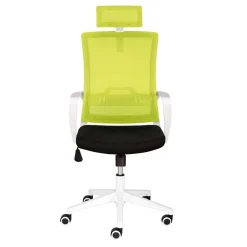 Armlehnen Computerstuhl in Hellgrün & Schwarz - Veronica