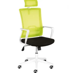 Armlehnen Computerstuhl in Hellgrün & Schwarz - Veronica