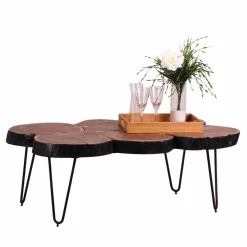 Baumscheiben Couchtisch Lariona mit Metall-Gestell