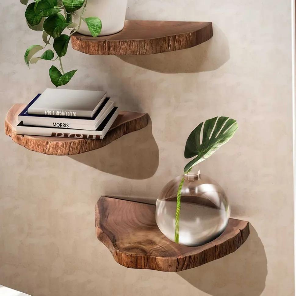 Baumscheiben Wandboards aus Akazie Massivholz - Tofana (dreiteilig)