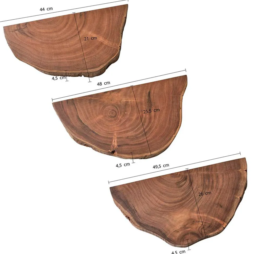 Baumscheiben Wandboards aus Akazie Massivholz - Tofana (dreiteilig)