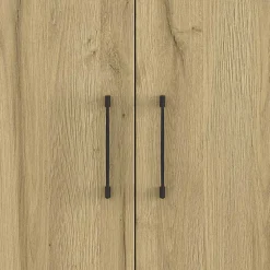 Büroschrank in Wildeiche & Dunkelgrau - Disgano