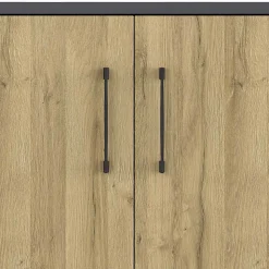 Büroschrank in Wildeiche NB & Dunkelgrau - Disgano I