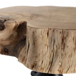 Couchtisch mit dicker Baumscheibe als Platte - Corgova