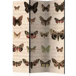 Design Paravent Schmetterlinge & Motten - Sina