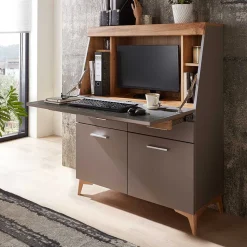 Design Sekretär in Grau & Eiche NB - Zella