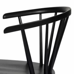 Designerstuhl aus Massivholz - Biontica (2er Set)