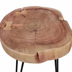 Designertisch Lariona mit Baumscheibe und Metall-Gestell