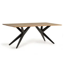 Design-Esstisch mit Massivholzplatte Akazie - Annipurk