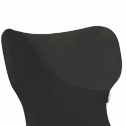 Designstühle in Schwarz Anthrazit - Chagunas (2er Set)