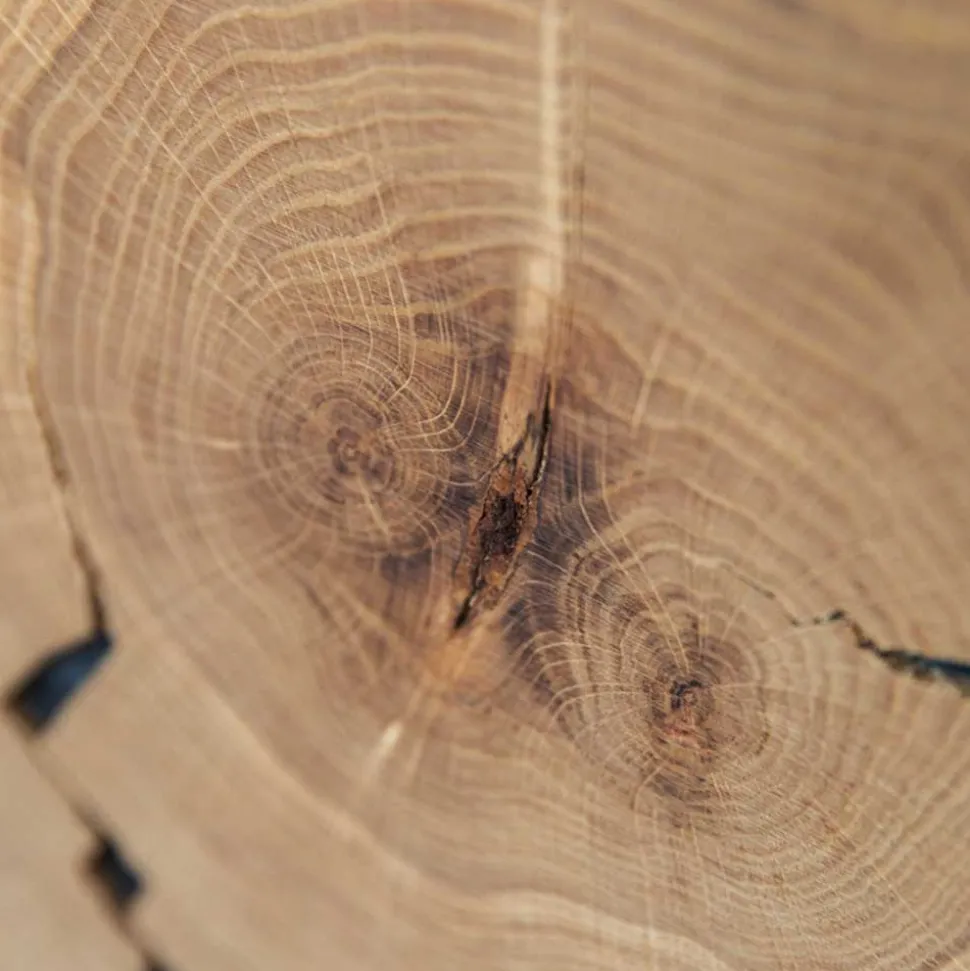 Eichenholz Highboard mit Hirnholz Applikation - Deruta