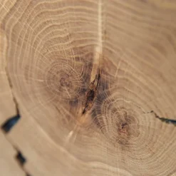 Eichenholz TV Board mit Hirnholz Applikation - Deruta