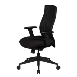 Ergonomischer Office Stuhl mit Mesh Rücken - Adejano