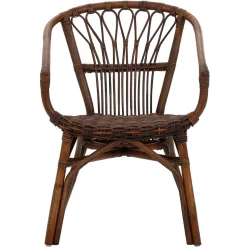 Esszimmer Rattanstuhl in Braun - Longford (2er Set)