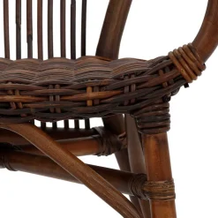 Esszimmer Rattanstuhl in Braun - Longford (2er Set)