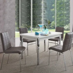 Esszimmer Sitzgruppe in Grau & Weiß Sisela mit Kunstleder Stühlen (fünfteilig)