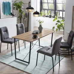 Esszimmergruppe im Industry und Loft Stil - Babette (fünfteilig)