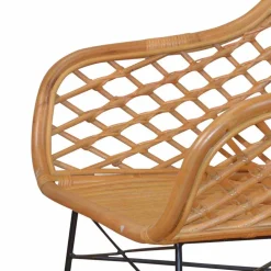 Esszimmerstuhl Ionella aus Rattan