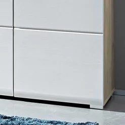 Flur Schuhschrank Brosgo in Weiß Silbereiche