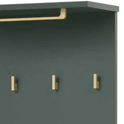 Flurmöbel in Dunkelgrün & Gold - Aqua (fünfteilig)