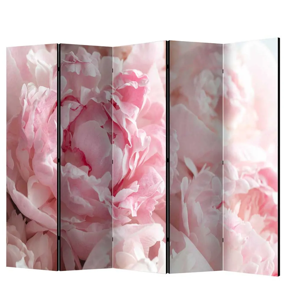 Foto Paravent Close Up Rosen in Rosa - Soms