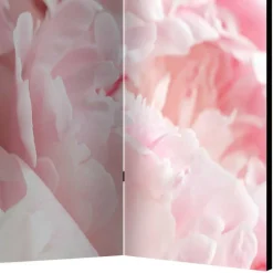 Foto Paravent Close Up Rosen in Rosa - Soms