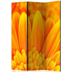 Foto Paravent Gelbe Gerbera Close Up - Apulco