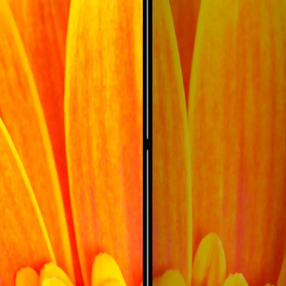 Foto Paravent Gelbe Gerbera Close Up - Apulco