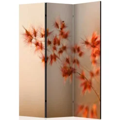 Foto Paravent mit Naturmotiv Gras Close Up - Kesska