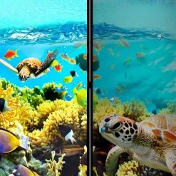 Foto Paravent Riff Bewohner & Trauminsel - Tarantro