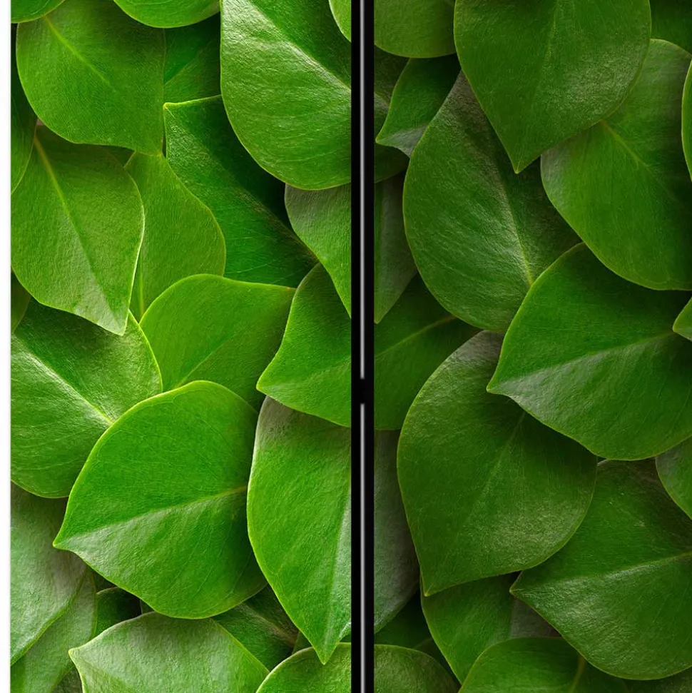 Foto Print Paravent mit Motiv Blätter - Latemar