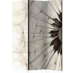 Foto Trennwand Nahaufnahme Pusteblume - Apulca