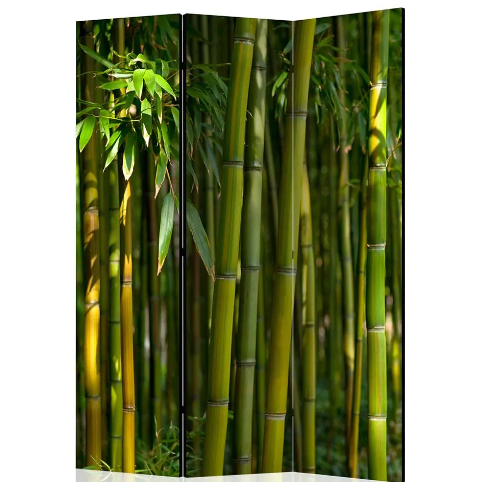 Fotodruck Paravent Bambus Halme & Blätter - Lecodas