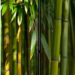 Fotodruck Paravent Bambus Halme & Blätter - Lecodas