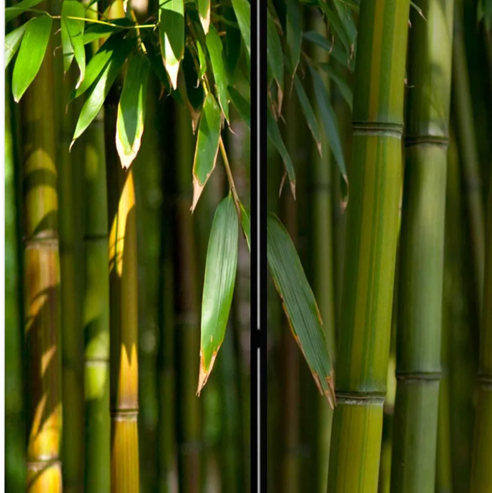 Fotodruck Paravent Bambus Halme & Blätter - Lecodas