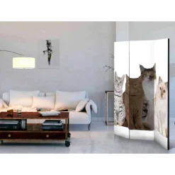 Fotodruck Paravent mit Katzen - Tresena