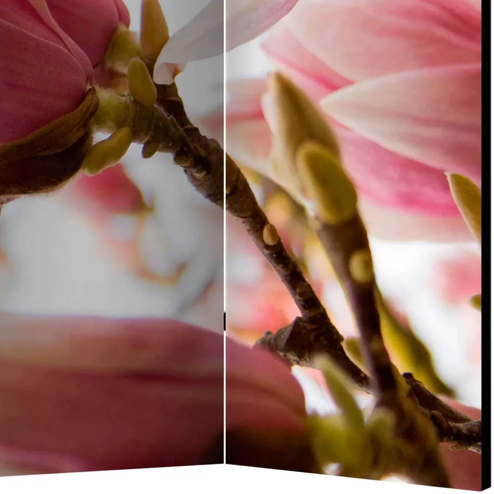 Fotodruck Paravent mit Motiv Pinke Magnolien - Amuting
