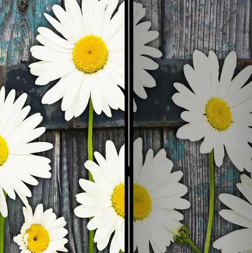 Fotodruck Trennwand mit Margheriten Motiv - Badehma