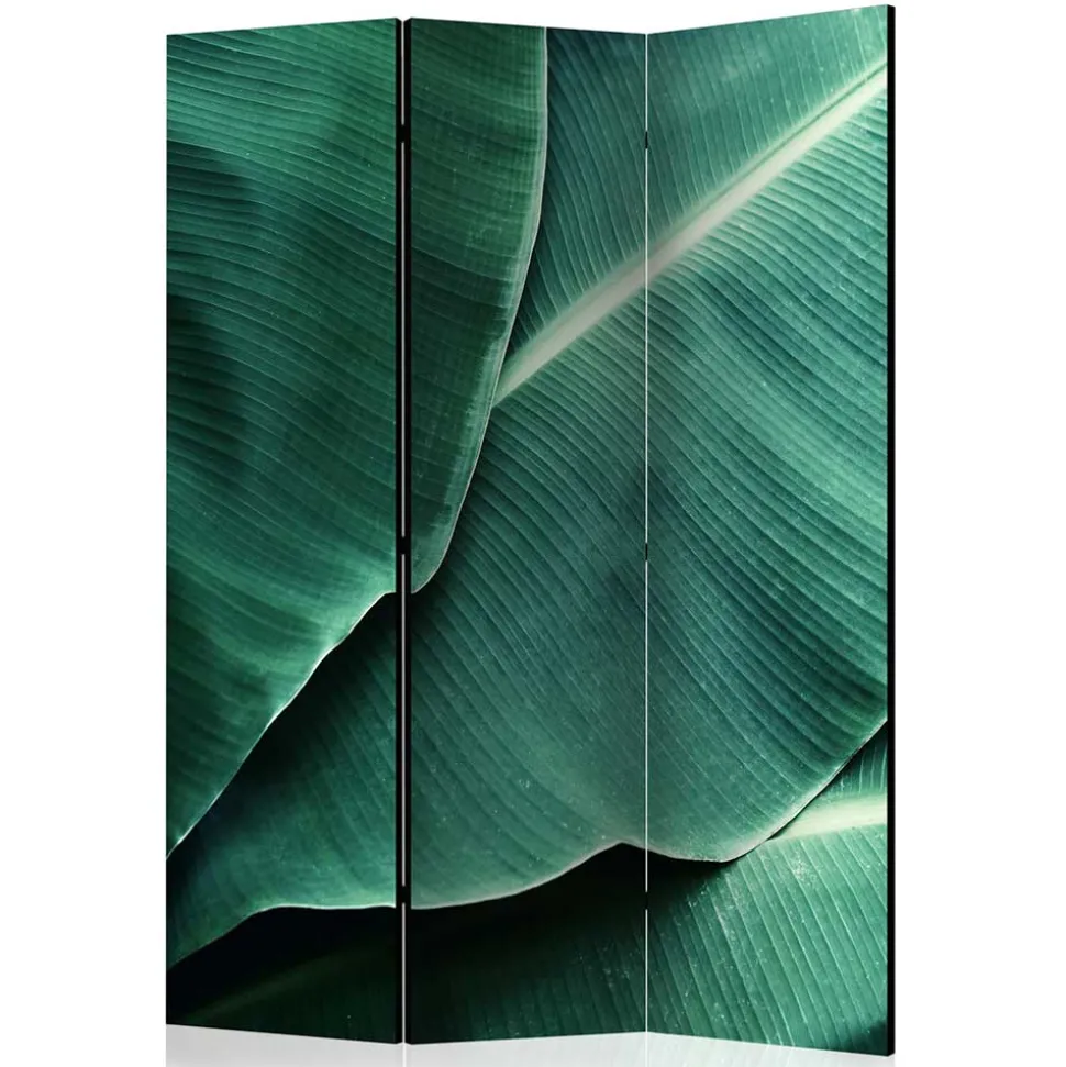 Fotomotiv Paravent mit Close Up Bananenblätter - Yanicol