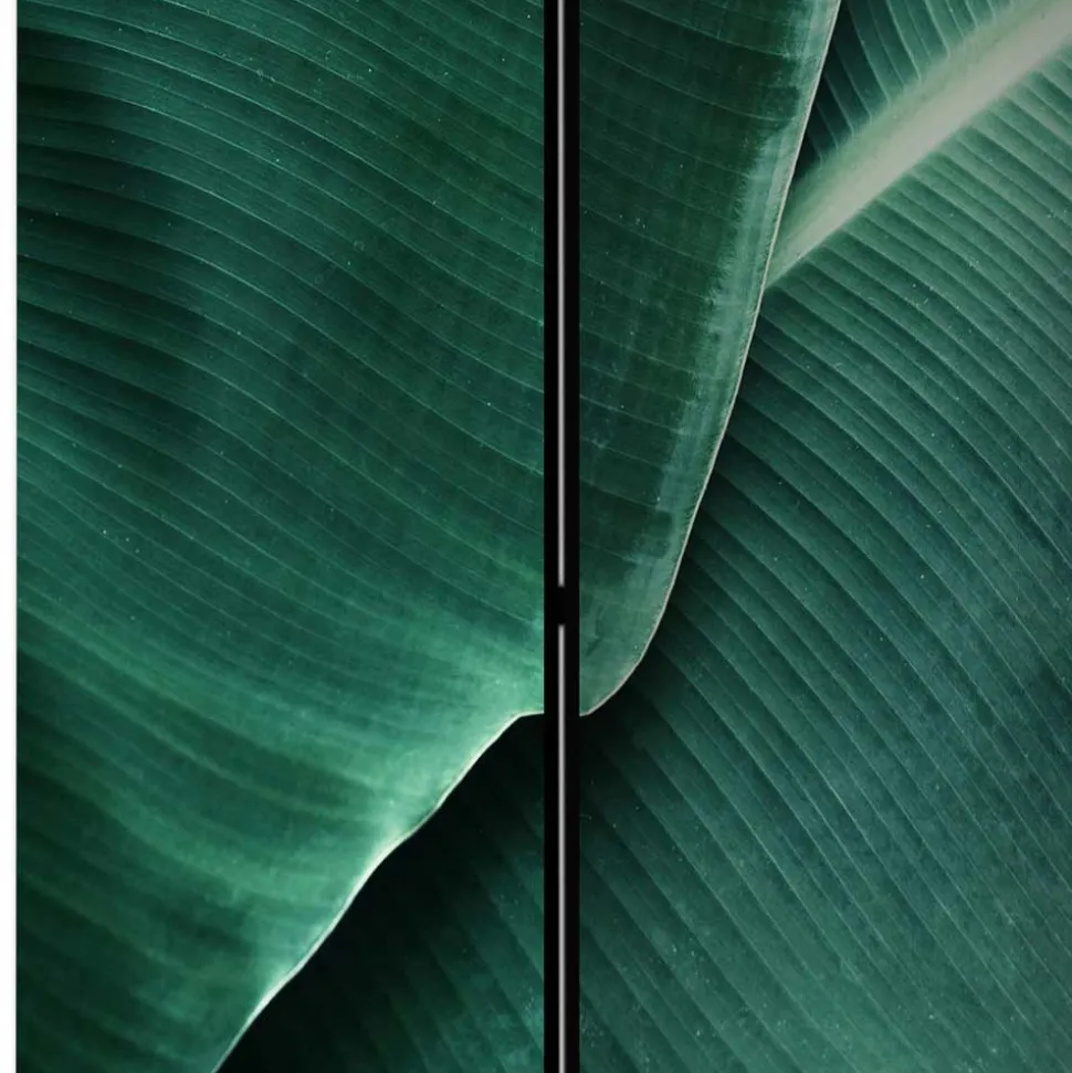 Fotomotiv Paravent mit Close Up Bananenblätter - Yanicol