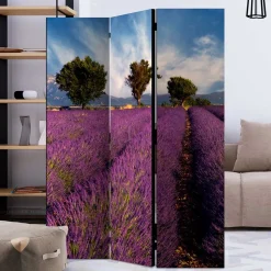 Fotomotiv Raumteiler Lavendelfeld Provence - Ozaro