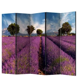 Fotomotiv Raumteiler Lavendelfeld Provence - Ozaro