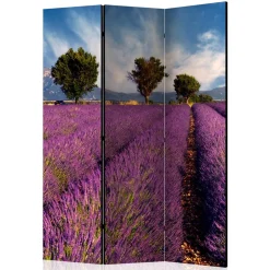 Fotomotiv Raumteiler Lavendelfeld Provence - Ozaro