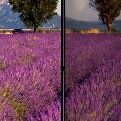 Fotomotiv Raumteiler Lavendelfeld Provence - Ozaro