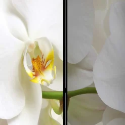Fotoprint Leinwand Paravent Weiße Orchideen - Aury