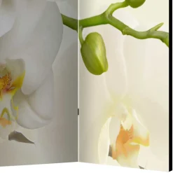 Fotoprint Leinwand Paravent Weiße Orchideen - Aury