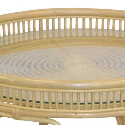 Glas Wohnzimmertisch mit Rattan Gestell - Fidelphia